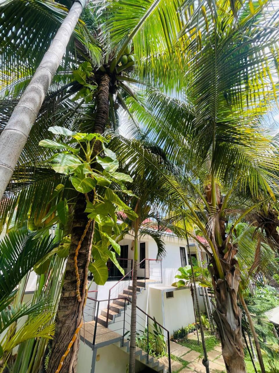 Apsara Greenland Boutique Villa & Resort Siem Reap Exteriör bild